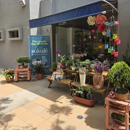 Suku-plantas-de-coleccion